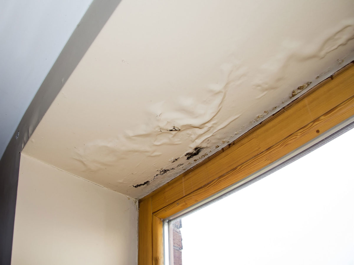 Humidity & Trapped-Moisture Roof Repair commercial roof support